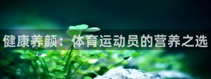 oety欧亿
